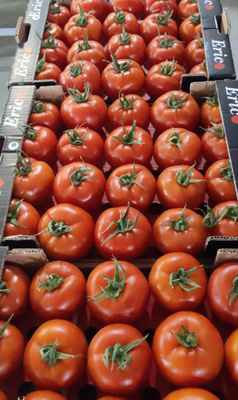 Фото объявления: Круглогодичная поставка овощи-фрукты и др. проукты из Турции по приемлемым ценам в Петрозаводске